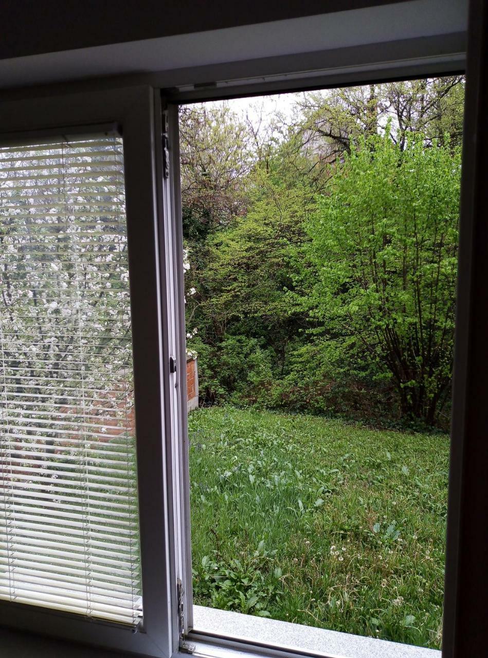 Apartman Miljkovic Arandelovac Buitenkant foto
