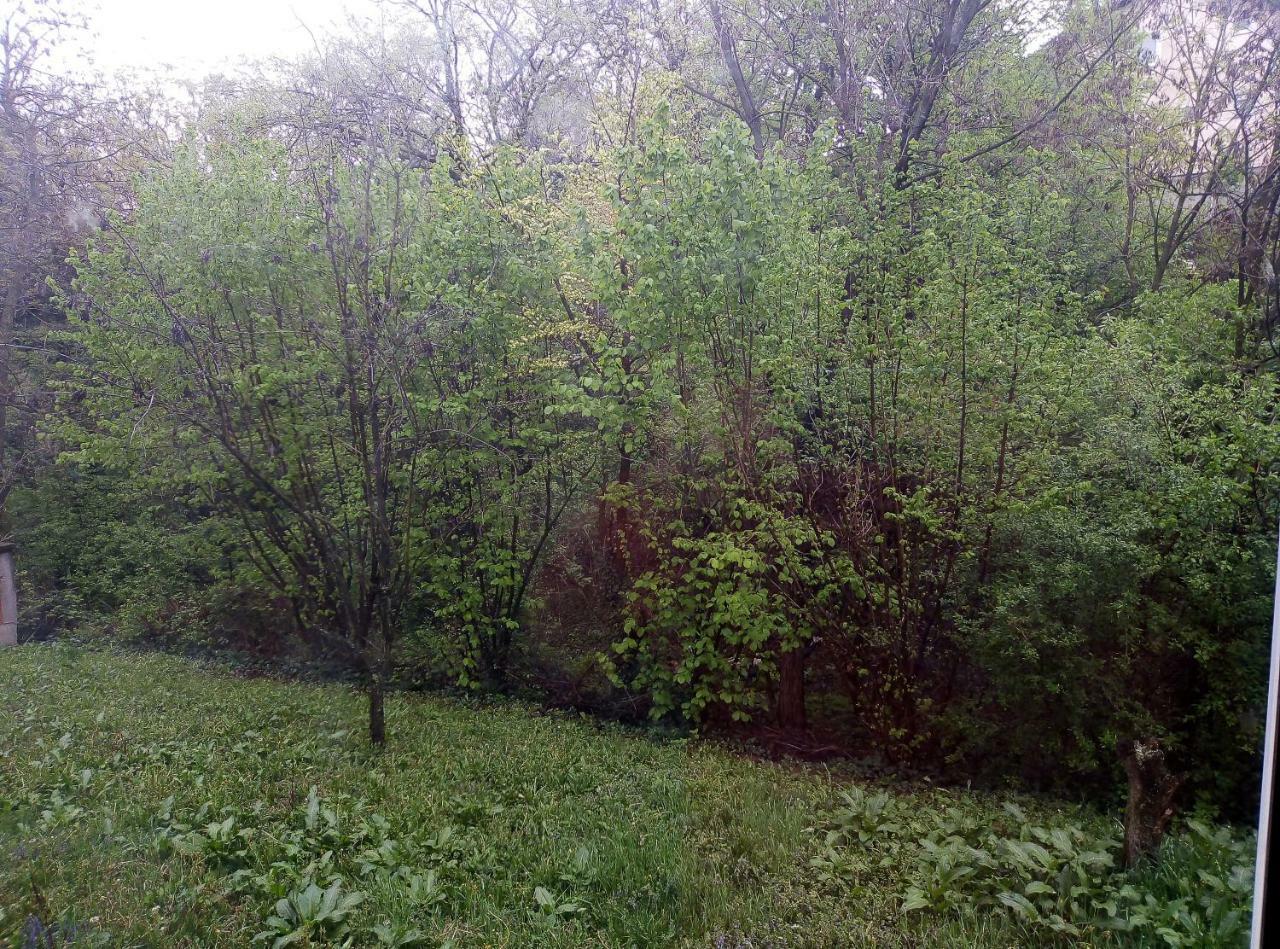 Apartman Miljkovic Arandelovac Buitenkant foto