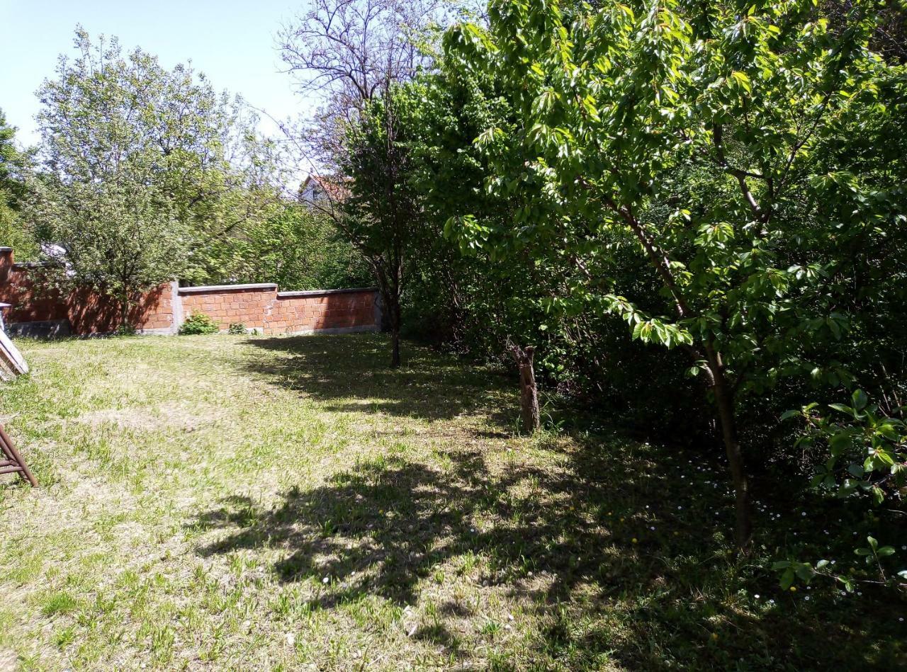 Apartman Miljkovic Arandelovac Buitenkant foto
